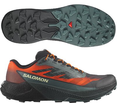 Salomon Pulsar